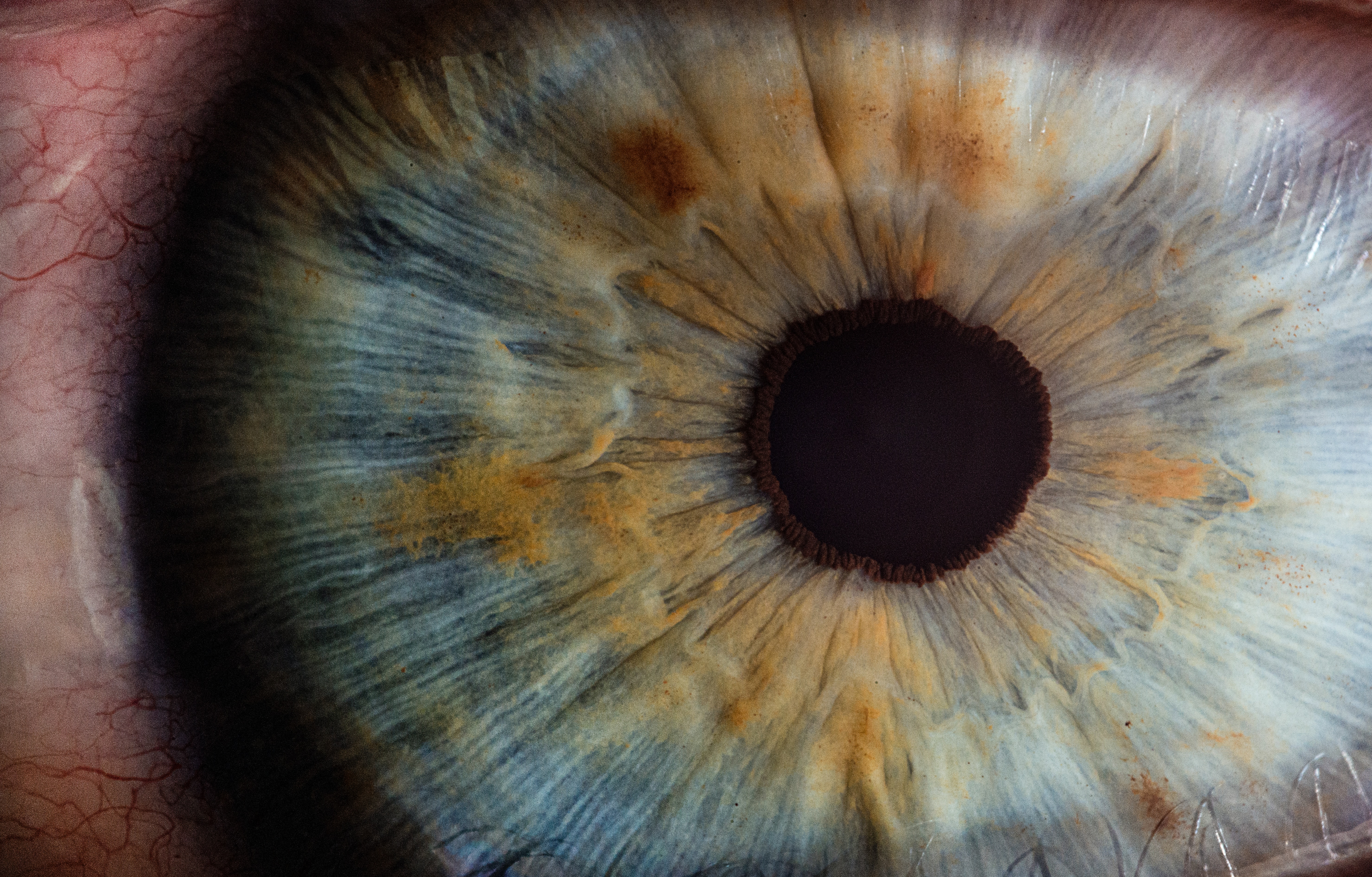 10 Facts About Your Eyes: Discover the Wonders of Human Vision